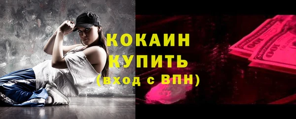 гашик Аркадак