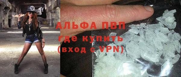 гашик Аркадак