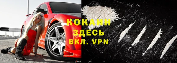 трава Арсеньев