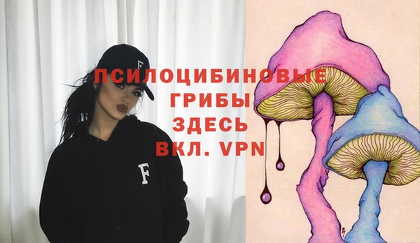 гашик Аркадак