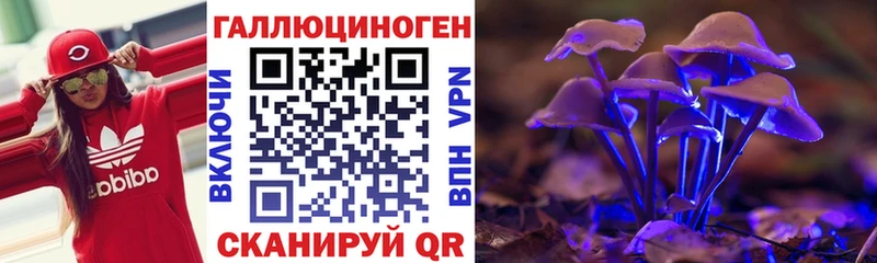 Галлюциногенные грибы Cubensis  Усть-Джегута 